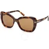 Tom Ford Maeve Roviex Butterfly Ladies Sunglasses Ft1008 55j 55 In Brown