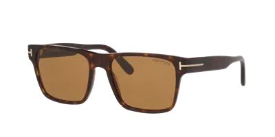Tom Ford Man Sunglass Calder In Brown