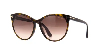 Pre-owned Tom Ford Maxim Ft 0787 Dark Havana/light Brown Shaded (52f) Sunglasses