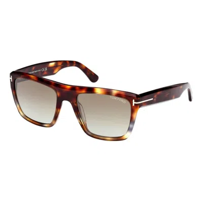 Tom Ford Men's 55 Mm Coloured Havana Sunglasses In Brown