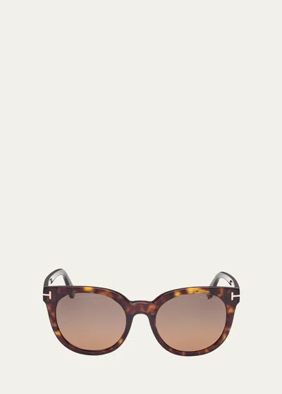 Tom Ford Moira Acetate Butterfly Sunglasses In Dhav/brnpz