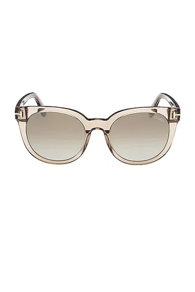 Tom Ford Women's Transparent Brown Moira Round Sunglasses