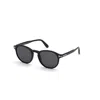 Tom Ford Ansel Round Gradient Plastic Sunglasses
