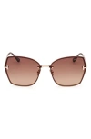 Tom Ford Women's D107 62mm Butterfly Sunglasses In Rose Gold Havana/brown