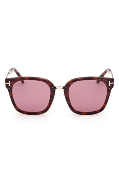 Tom Ford Philippa 68mm Gradient Square Sunglasses In Dark Havana/violet