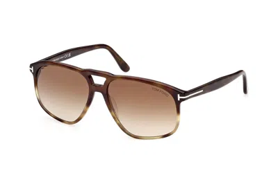 Pre-owned Tom Ford Pierre Navigator Sunglasses Havana/brown (ft1000-56f-58)