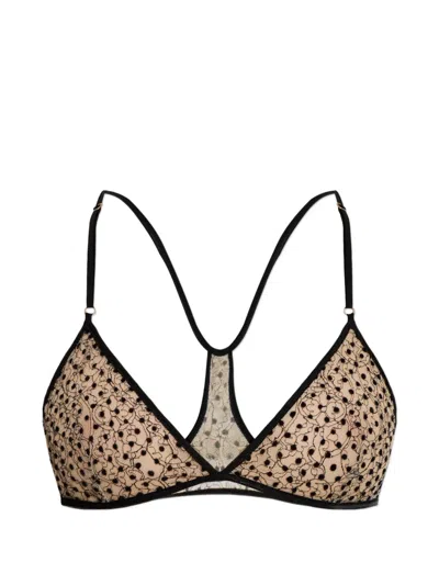 Tom Ford Polka-dot Lace-trim Bra In Brown