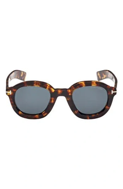 Tom Ford Raffa 46mm Round Sunglasses In Brown