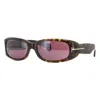 Tom Ford Sunglasses In Brown