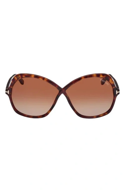 Tom Ford Rosemin 64mm Gradient Oversize Butterfly Sunglasses In Shiny Dark Havana/brown
