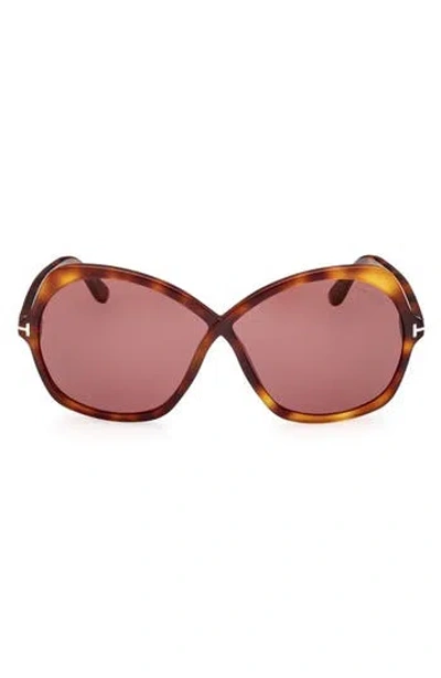 Tom Ford Rosemin Acetate Butterfly Sunglasses In Havana/purple Solid