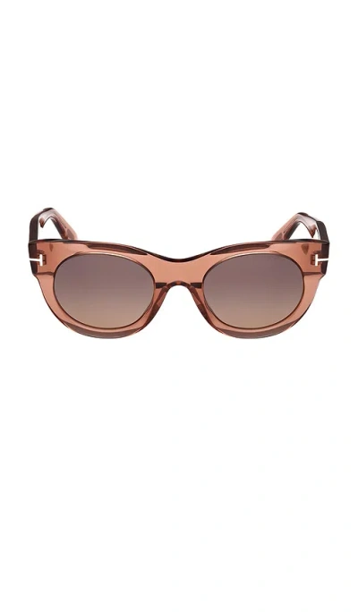 Tom Ford Round Sunglasses In Brown