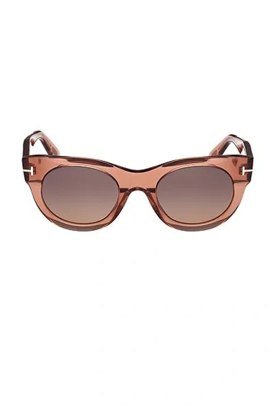 Tom Ford Round Sunglasses In Brown