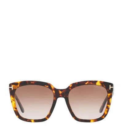 Tom Ford Amarra 55mm Gradient Lens Square Sunglasses In Havana/gradient Brown