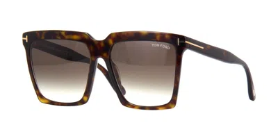 Pre-owned Tom Ford Sabrina-02 Ft 0764 Dark Havana/brown Shaded (52k) Sunglasses