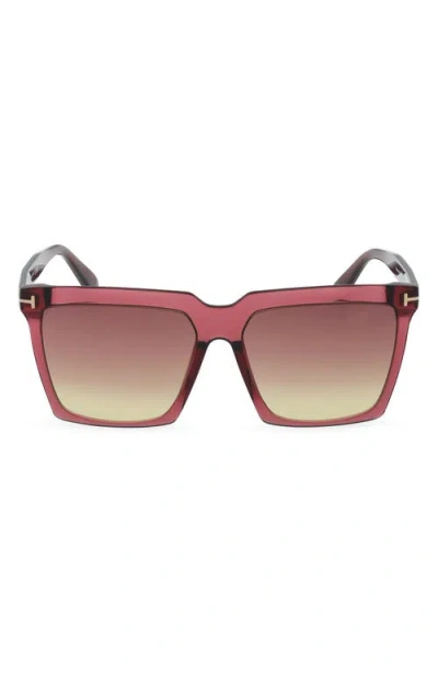 Tom Ford Sabrina 58mm Gradient Square Sunglasses