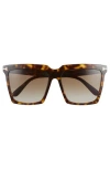 Tom Ford Sabrina 58mm Polarized Gradient Square Sunglasses In Dark Havana/roviex
