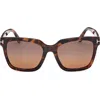 Tom Ford Selby 55mm Square Sunglasses In Brown