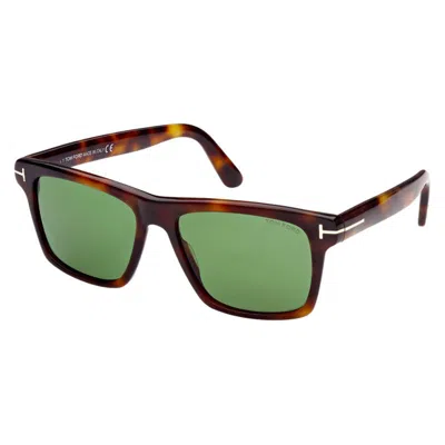 Tom Ford Square Full Rim, With A Blonde Havana Frame And Green Lens. In Brown