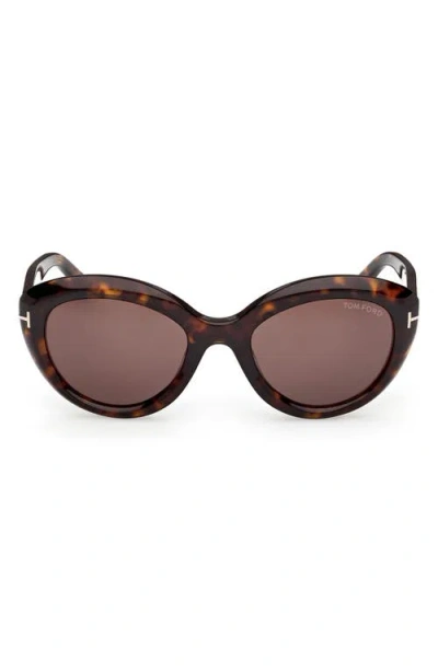 Tom Ford Stacy 53mm Cat Eye Sunglasses In Brown