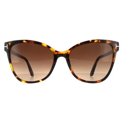 Pre-owned Tom Ford Sunglasses Ani Ft0844 52f Dark Havana Brown Gradient