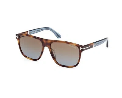 Pre-owned Tom Ford Sunglasses Ft1081 Frances 53f Havana Brown Man