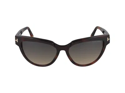Tom Ford Sunglasses In Havana Colored/smoke Grad