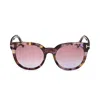 Tom Ford Moira Acetate Butterfly Sunglasses In Havana/viola