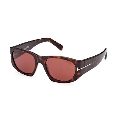 Pre-owned Tom Ford Sunglasses Men Shiny Brown Havana Red Ft0987 52s 53mm Cyrille-02