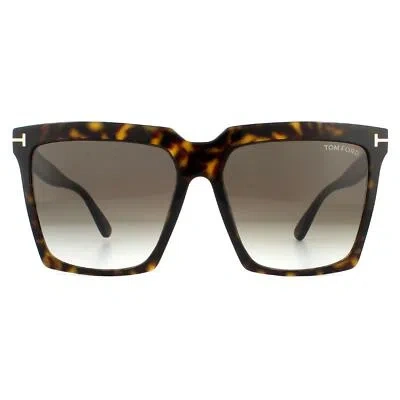 Pre-owned Tom Ford Sunglasses Sabrina 02 Ft0764 52k Dark Havana Roviex Brown Gradient