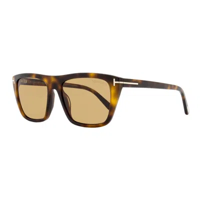 Tom Ford Sunglasses Square Full Rim, Blonde Havana Frame And Brown Lens Ft117553e