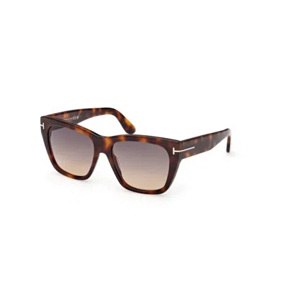 Tom Ford Flynn-02 Ft1343 53b In Brown