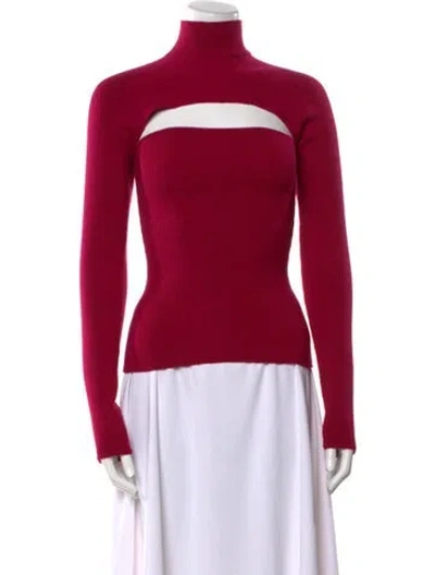 Pre-owned Tom Ford Turtleneck Sweater In Pink