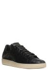 Tom Ford Warwick Python Embossed Low Top Sneaker In Black/cream