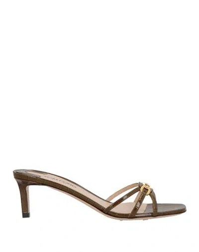 Tom Ford Woman Sandals Khaki Size 7 Goat Skin In Beige