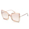 Tom Ford Women's 63mm Transparent Brown Sunglasses In Brown