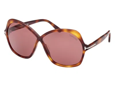 Pre-owned Tom Ford Women's  Butterfly Sunglasses In Havana (ft1013 52y)