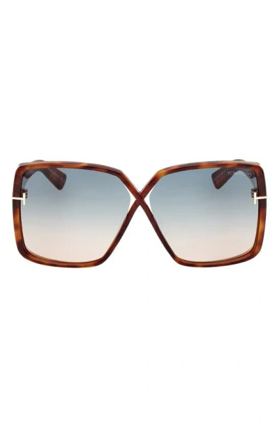 Tom Ford Yvonne 63mm Oversize Gradient Butterfly Sunglasses In Shiny Havana / Turquoise Sand