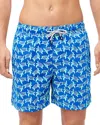 Tom & Teddy Turtle Print Swim Trunks In Blue  Ice Green