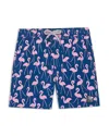 Tom & Teddy Boys' Flamingo Swim Trunks - Little Kid, Big Kid In Rose  Blue