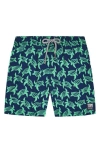 Tom & Teddy Boys' Turtle Print Swim Trunks - Little Kid, Big Kid In Navy Green