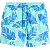Tom & Teddy Palm Leaf Print Swim Trunks In Green Blue
