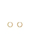 Tom Wood Hoop Earrings