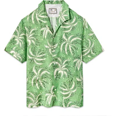 Tombolo Palm Fronds In Green
