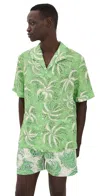 Tombolo Palm Fronds Shirt Green In Green
