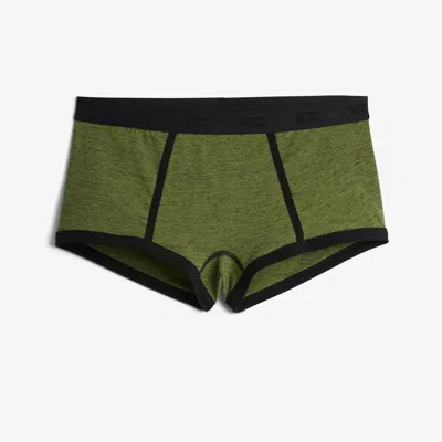 Tomboyx Boy Shorts In Green