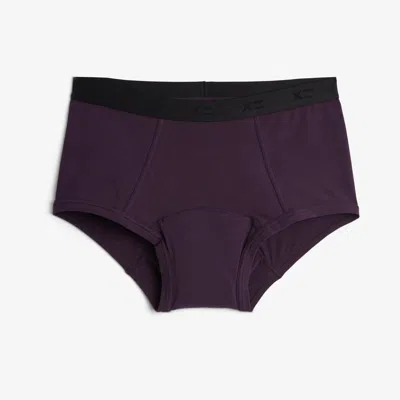 Tomboyx First Line Period Boy Shorts In Purple