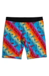 Tomboyx Gender Inclusive 9-inch Boxer Briefs In Multi