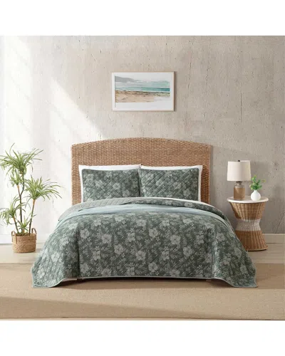 Tommy Bahama 136 Thread Count Hibiscus Jungle Cotton Reversible Quilt Set In Gray
