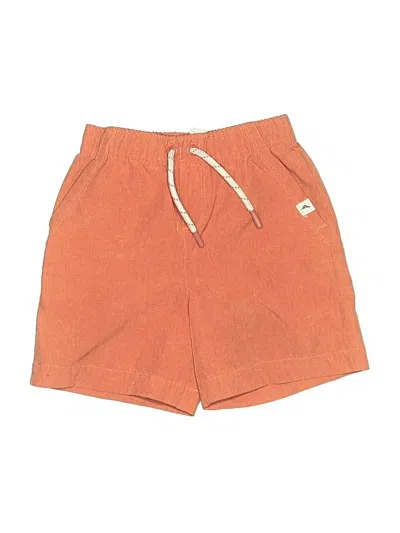 Pre-owned Tommy Bahama Kids' Athletic Shorts In Orange